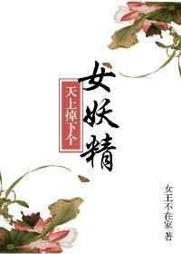 天上掉下个没美娇娘