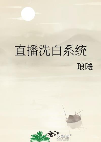 洗白系统20