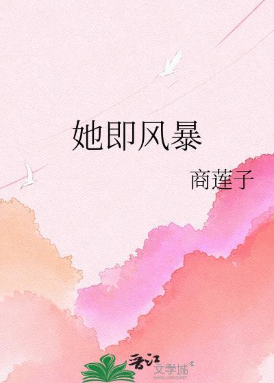 她即风暴百度