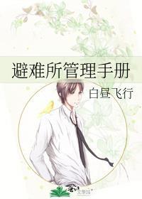避难所完整版详细攻略