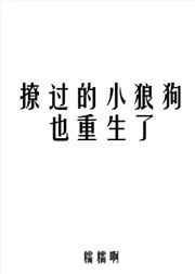 撩过的小狼狗也重生了TXT最新章节免费阅读