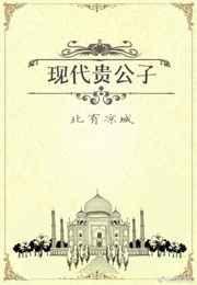贵公子男主现言