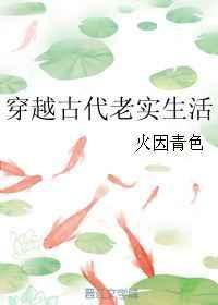 穿越古代老实生活讲了什么