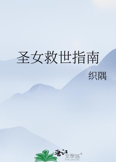 圣女救世指南讲的什么故事