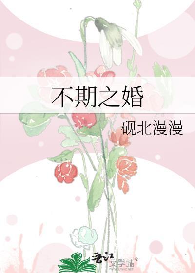 不期之婚 砚北漫漫