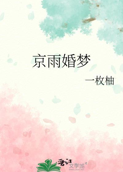京雨婚梦txt