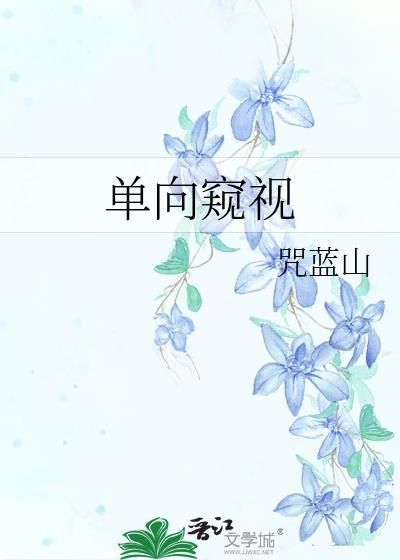 双向窥伺