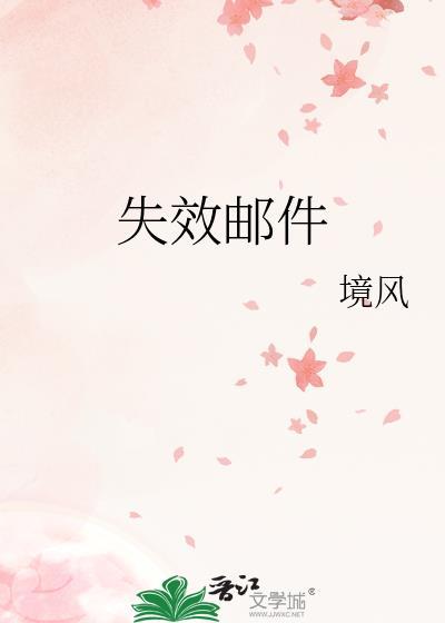 失效邮件境风讲的什么