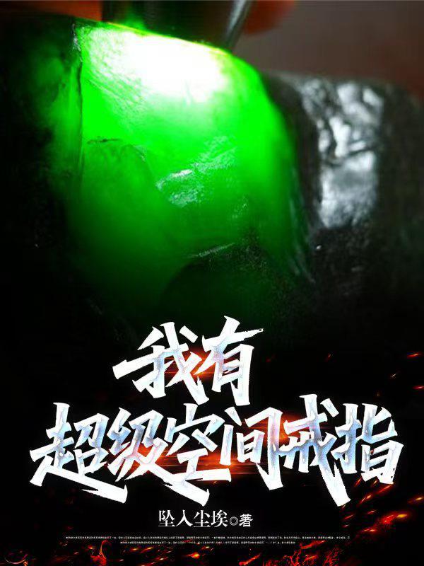 我有超级空间戒指全文免费阅读