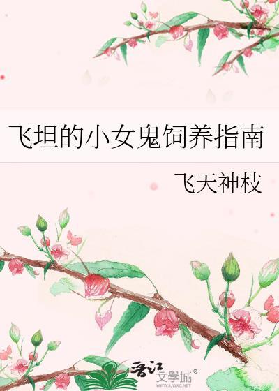 飞坦cp原创女主