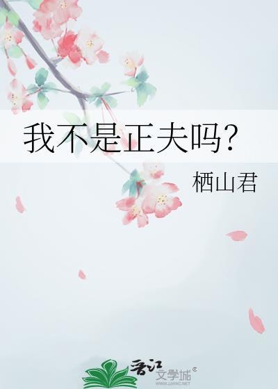 我不是正夫吗全文