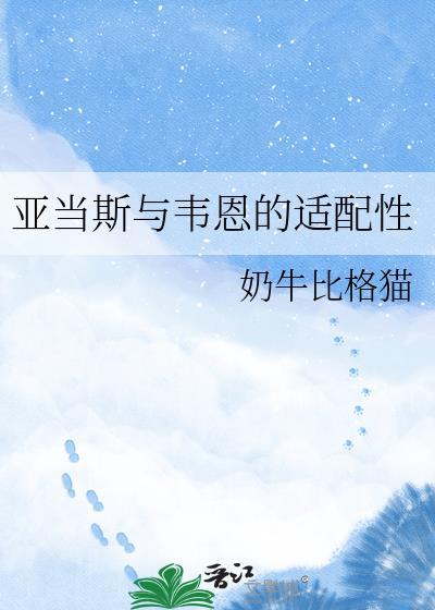 亚当斯与韦恩的适配性分析