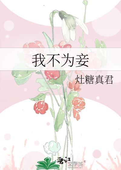 我不为妾讲的什么故事