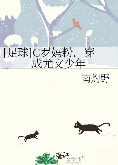足球C罗妈粉