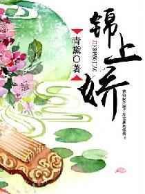 锦上娇娇