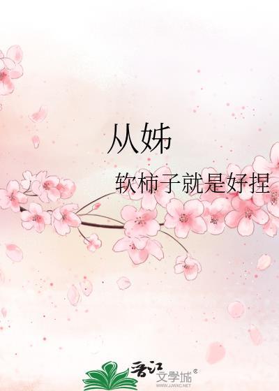 从姊的意思