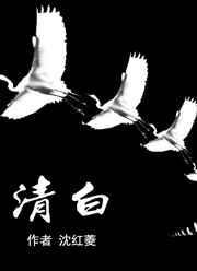 清白在人间短剧