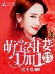 暖婚蜜爱萌宝甜妻1加1免费阅读