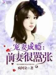 宠前妻H