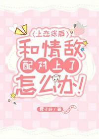 上恋综做
