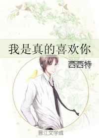 我是真的喜欢你歌词抖音热歌