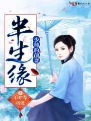 半生缘少帅的前妻全文阅读