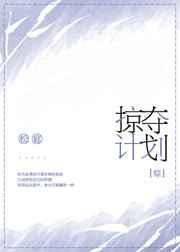 掠夺抢夺