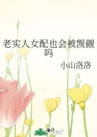 老实人女配也会被觊觎吗晋江文学城