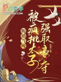 赐婚当晚被疯批太子强取豪夺(巫溪)