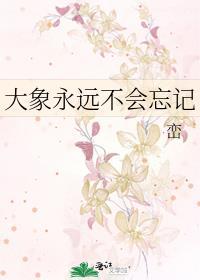 大象永远不会忘记是什么意思