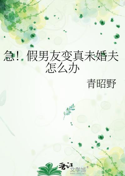 假男朋友