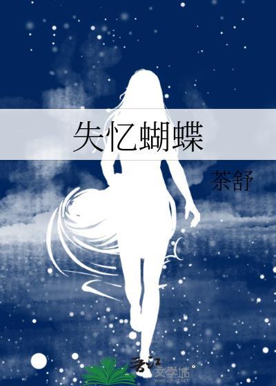 失忆蝴蝶的歌词寓意