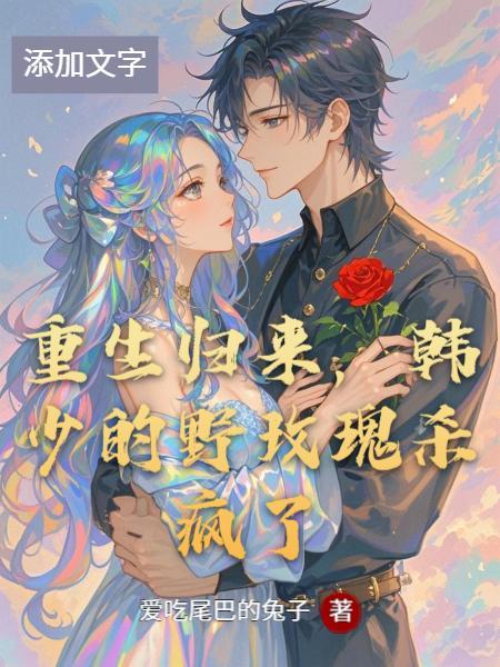 重生之韩少归来书包网