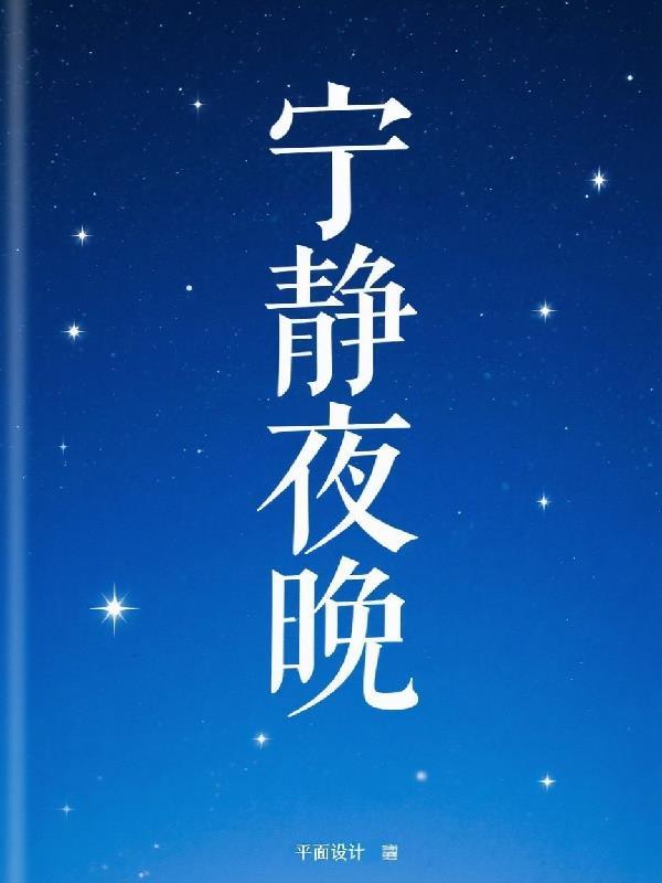 宁静夜晚的诗句