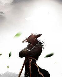 我有一支动物杀手队顾长青