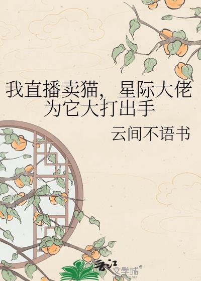 宠物猫