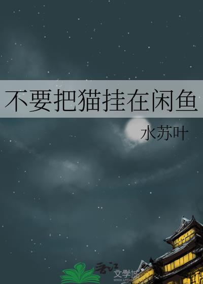 别把猫挂在闲鱼TXT