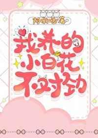 小白花不对劲全文免费阅读