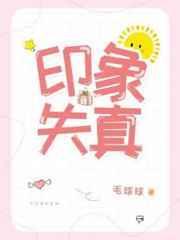 印象失真趣书网