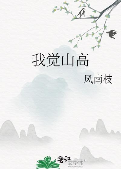 我觉山高风南枝txt