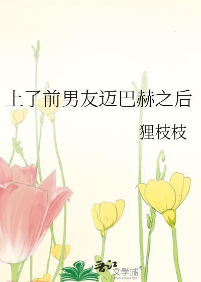 上前男友迈巴赫TXT番外