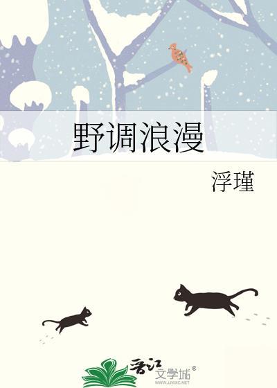 野调浪漫讲的什么