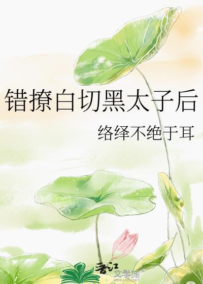 错撩了太子后完整版免费阅读