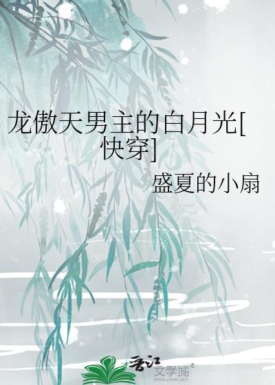 龙傲天男主合集