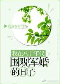 我在八十年代围观军婚