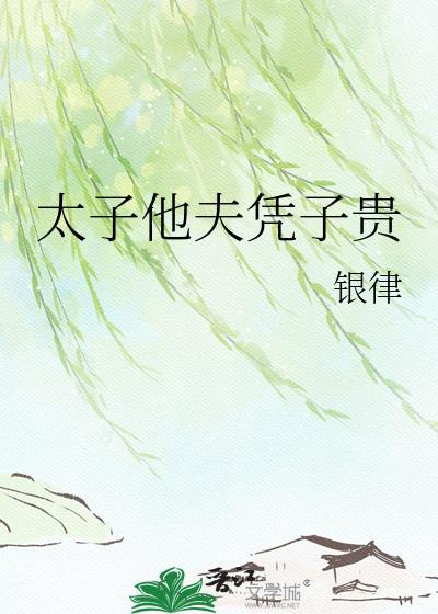太子他夫凭子贵完整