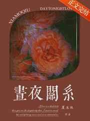昼夜关系澜笙无删减免费阅读