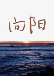向阳花图片