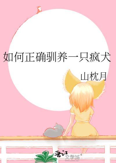 如何正确驯养一只疯犬视频