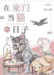 在豪门当宠物的日子